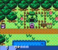 une photo d'Ã©cran de Bomberman Quest sur Nintendo Game Boy Color